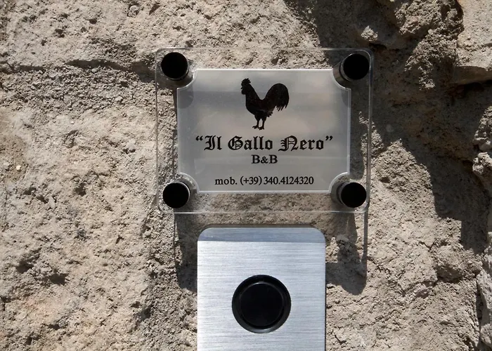 Il Gallo Nero Nocleg ze śniadaniem Viterbo